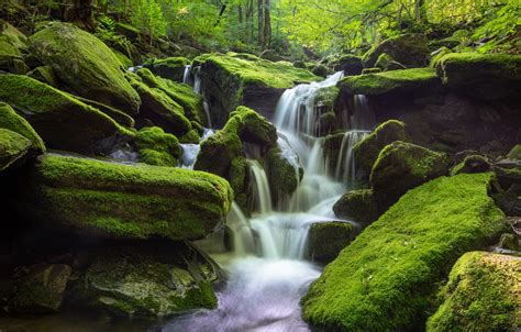 Wallpaper Forest Water Nature Stones Waterfall Moss South Korea