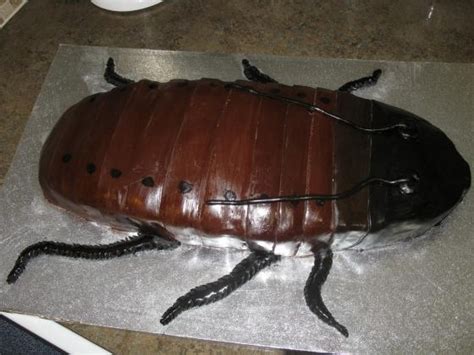 10 Most Disturbing Cakes Designs That Are Almost Too Gross To Eat