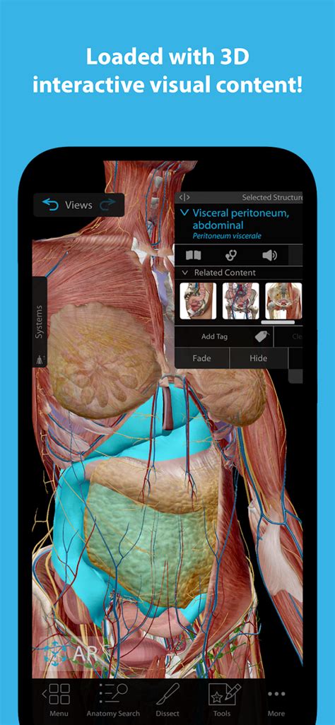 Human Anatomy Atlas 2023 Sc1 