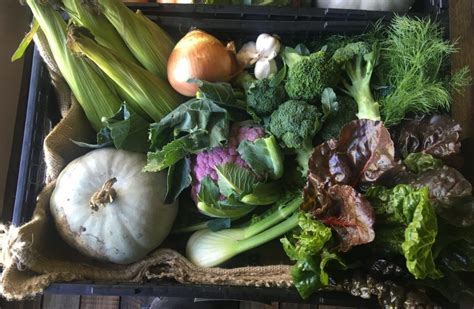 Organic Vegetable Boxes Delivered Heritage Farm