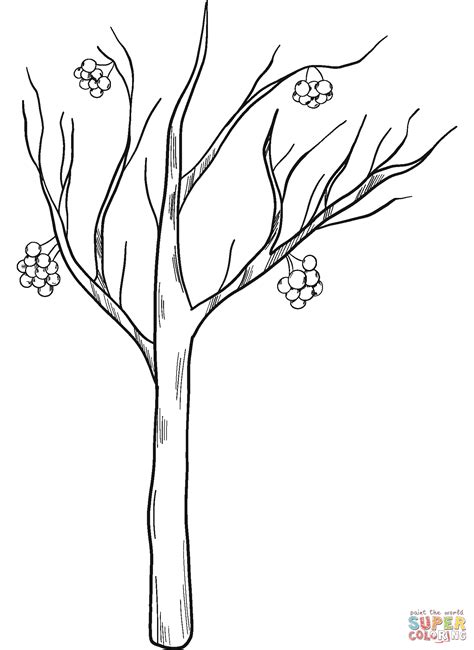 A Hand Drawn Illustration For Colouring The Crystal Winter Tree Art