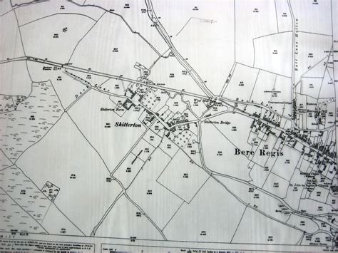 Historic Ordnance Survey Maps Of Bere Regis