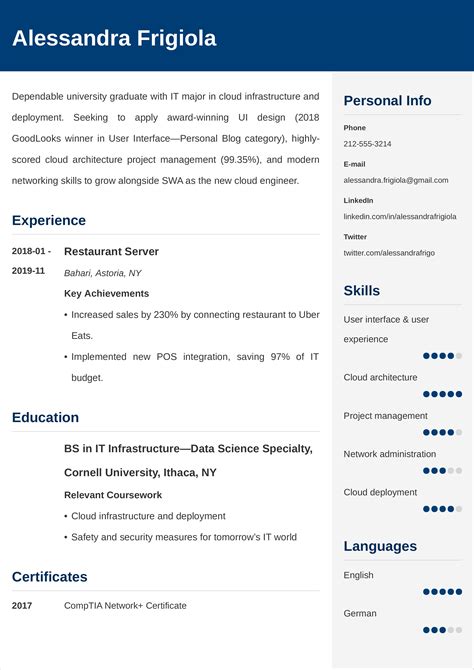 Entry Level Cv Examples Template And Tips For Beginners