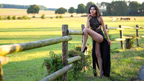 legs women model guenter stoehr brunette high heels black dress fence field cow