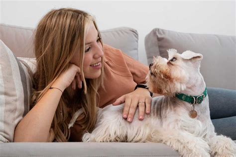 Los Perros Intercambian Miradas Con Sus Dueños Para Lograr Comida