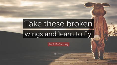 He who would learn to fly one day must first learn to stand and walk and run and climb and. Paul McCartney Quote: "Take these broken wings and learn to fly." (12 wallpapers) - Quotefancy