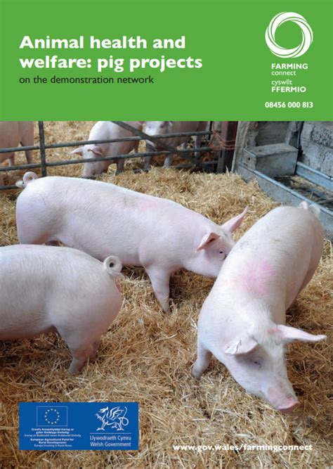 Animal Health And Welfare Pig Projects On The Demonstration Network