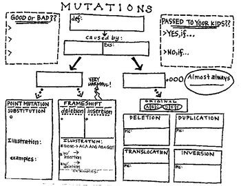 Dna Mutations Concept Map Sexiz Pix
