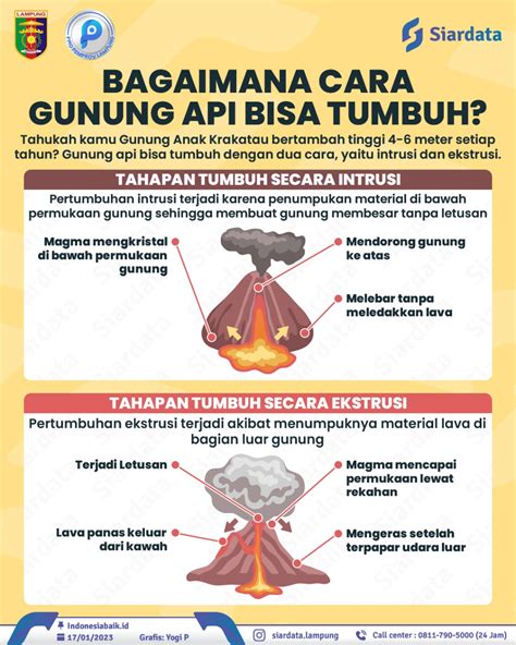 Bagaimana Cara Gunung Api Bisa Tumbuh Ppid Provinsi Lampung