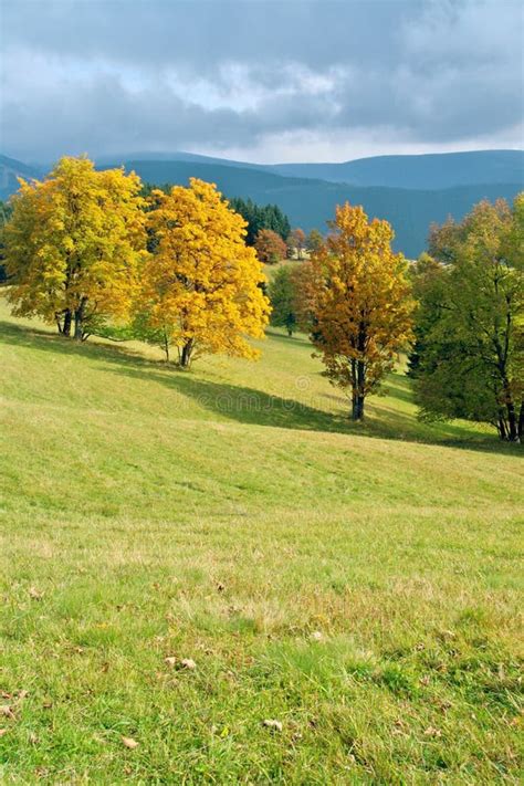 Colorful Autumn Landscape Stock Photo Image Of Bright 125581986