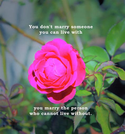 You Marry The Person Who Cannot Live Without Motivational Quote Photograph By Daniel Ghioldi