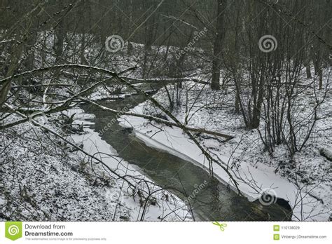 Winter Landscape Of A Forest River Stock Image Image Of