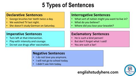 5 Types Of Sentences Definition And Examples English Study Here
