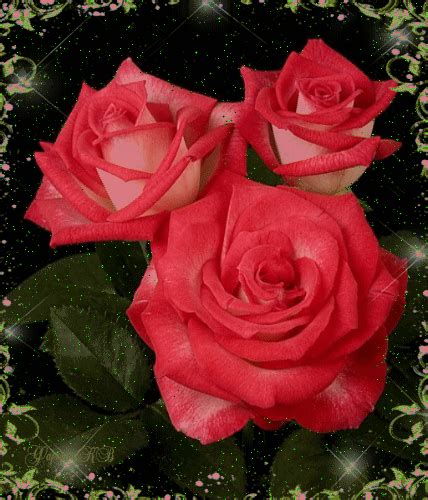 Blooming Red Roses Red Flowers Animated Rose  Blossom Bloom Red Rose