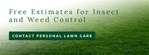 The Importance Of Seasonal Weed Control In Memphis Personal Lawn Care
