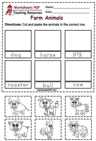 Cut And Paste The Animals In The Correct Row Worksheets Pdf