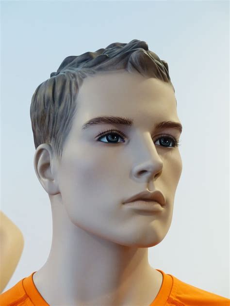 Free Download Man Face Mannequin Man Stylish Fashion View