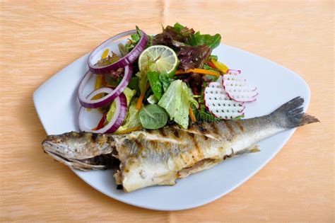 Salads And Grilled Fish Stock Photo Image Of Marine 89405344