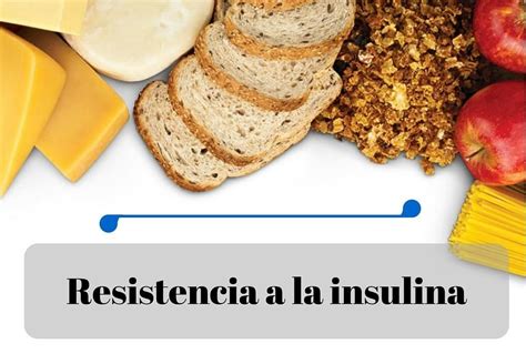 Resistencia A La Insulina Una Adaptación Para Sobrevivir Resistencia