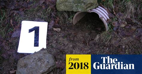 Two Men Jailed For Badger Baiting In Wales Uk News The Guardian