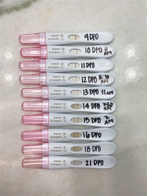 Finally Done Testing Progression From 9 Dpo To 21 Dpo Frer And Easy