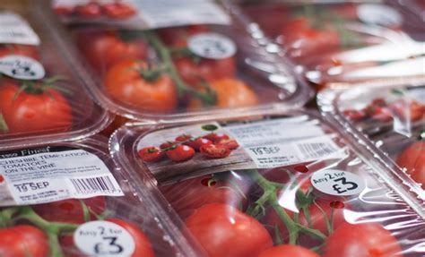 Fresh Thinking In Tomato And Berry Packing With Freshseal Technology