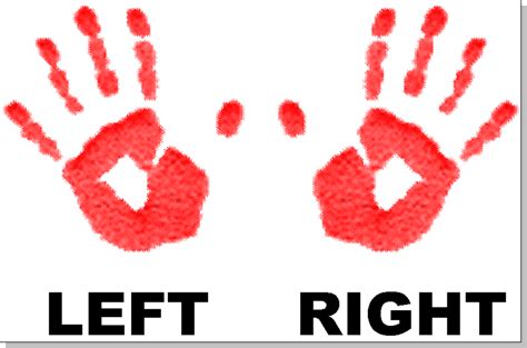 Collection of Left And Right Hand PNG. | PlusPNG