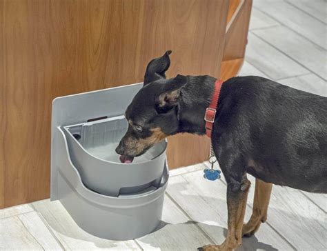 Perpetual Well Pet Watering System Pet Water Bowl Innovative Pet