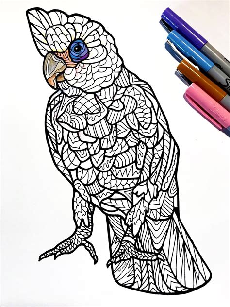 It is typically done on a 3 ½ x 3 ½ paper tile using a pencil and a black pen. Bare Eyed Cockatoo - PDF Zentangle Coloring Page | Bird coloring pages, Coloring pages, Zentangle