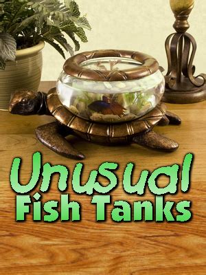 Unusual Small Fish Tanks | Animals and Pets | Pinterest ...