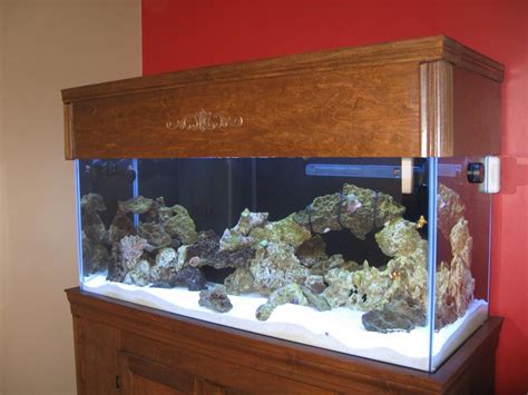 Custom oak aquarium cabinet and canopy. Custom Aquarium Stand Canopy | Custom aquarium, Aquarium ...