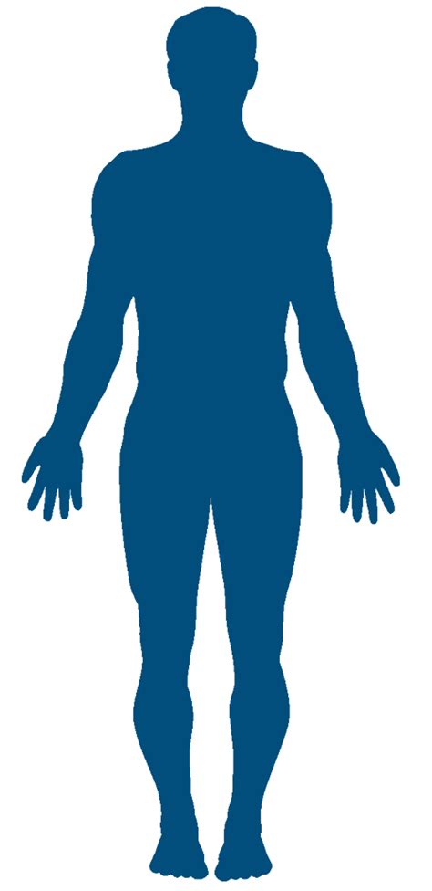 Vector Graphics Clip Art Silhouette Human Body Stock