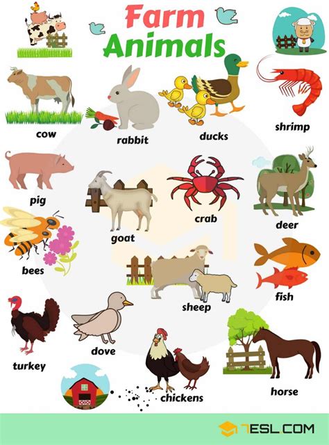 Animal Names Types Of Animals List Of Animals • 7esl Farm Animals