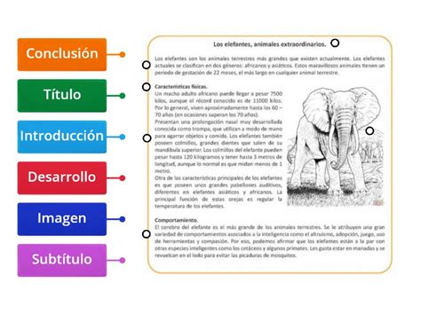 Textos Informativos Partes Diagrama Etiquetado