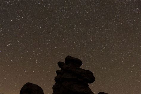 Perseids Meteor Shower 2023 Has Started Heres When And Where You Can Watch It Science Times