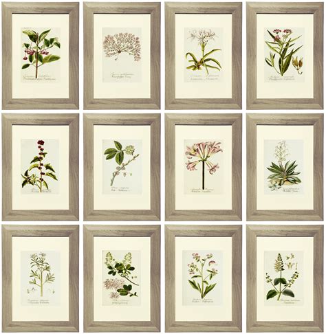 Botanical Free Printables Wallpaper Database