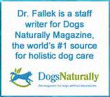 Holistic Dog Care Book Pictures