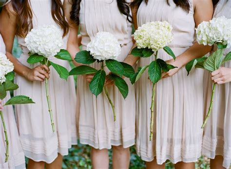 We did not find results for: Single hydrangea bloom | Simple wedding bouquets, Wedding ...