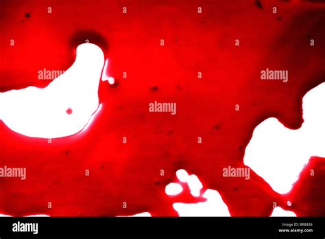 Spot Of Red Blood On White Close Up Stock Photo Alamy