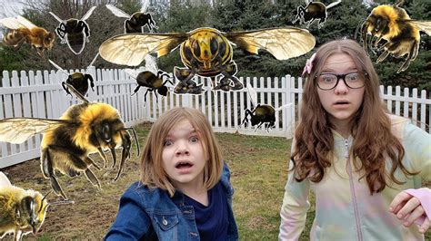 The Bees Are Coming Youtube