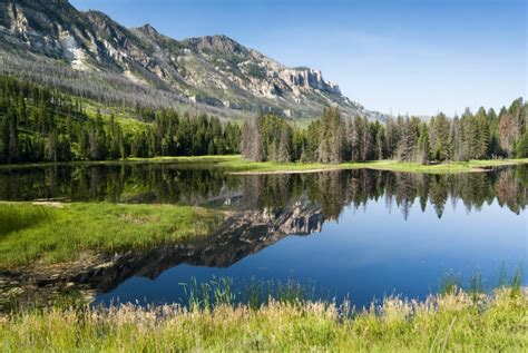The 7 Best Places To Live In Wyoming