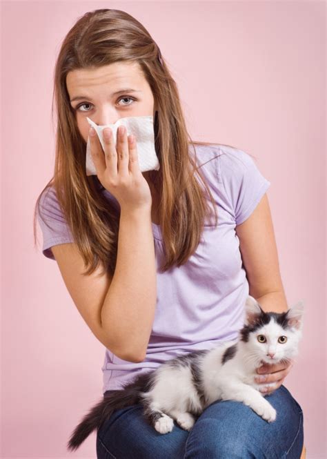 Pet Allergies And How To Manage Them Petspyjamas