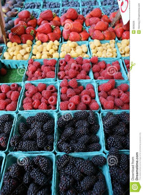 Assorted Berries Stock Photo Image Of Fruit Black Grocer 5839226