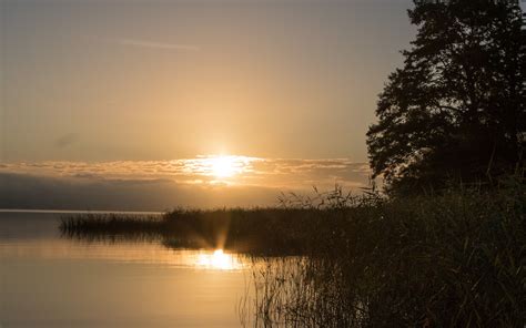 Download Wallpaper 3840x2400 Lake Sunset Landscape Shore Reed Tree