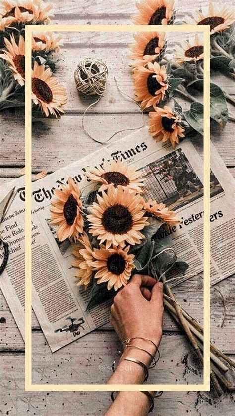 Flowers Wallpaper Yellow Sunflower Newspaper Aes Teah