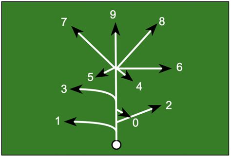 All 9 Football Routes Explained With Images The Route Tree Photos