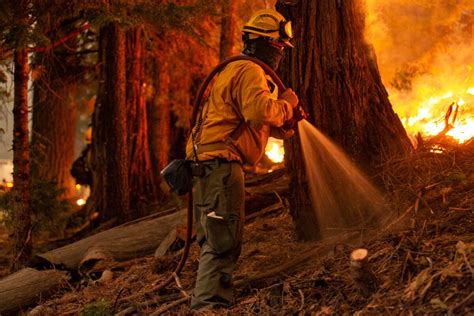 Newsom Signs Fire Law Paving Way For More Prescribed Burns Los