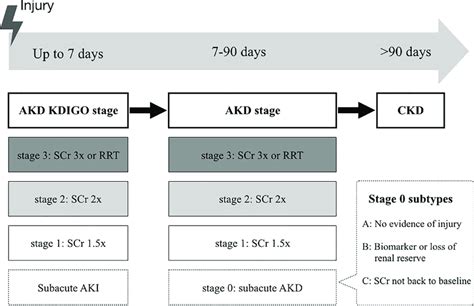 Interplay Between Aki Akd And Ckd According To The Consensus Report Of