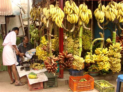 Bananas There Are Hundreds Of Varieties Of Bananas In Kerala Kerala Banana India