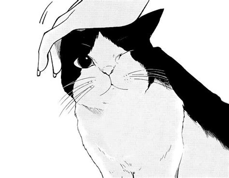Pin By Kilig Li On ※♥︎otaku♥︎※ Manga Cat White Anime Cat Art